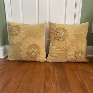 2 Decorative Throw Pillows